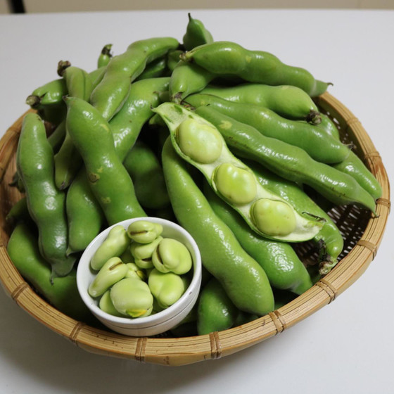 【オンライン講座】旬のそら豆で作る、「豆板醤作り教室」