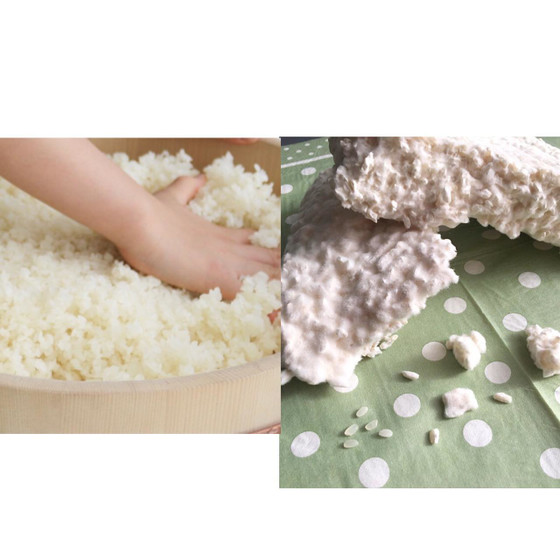 麹作り教室