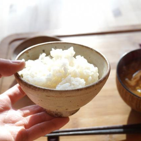 ２月　常備菜お持ち帰りレッスン