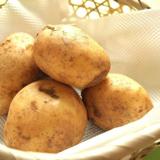 ジャガイモでおかず3品♪一汁三菜