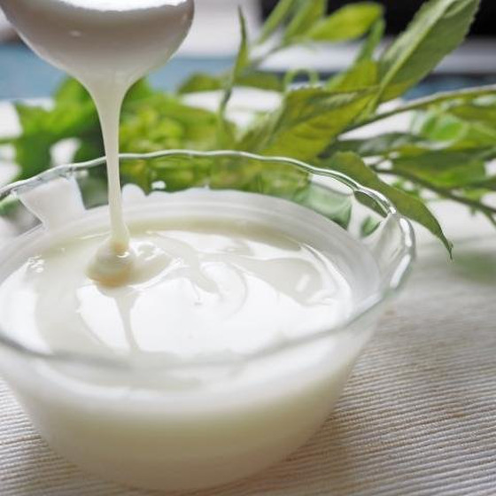 発酵パワー！ヨーグルト活用料理