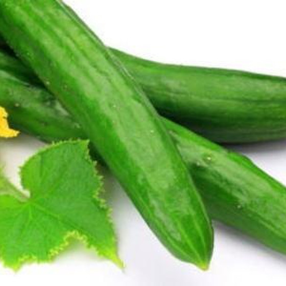 身近な食材で！おうち薬膳料理【夏キュウリ編】