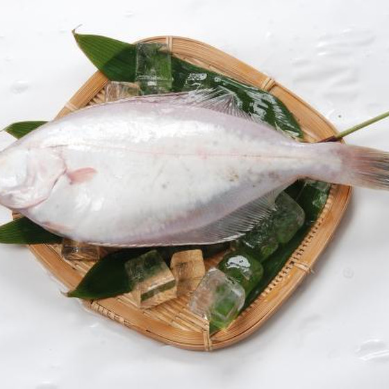 1尾を切り身におろして【カレイの煮付け】