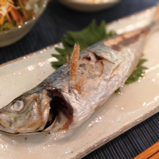 焼き魚の基本「下処理から体験！アジ姿焼き」