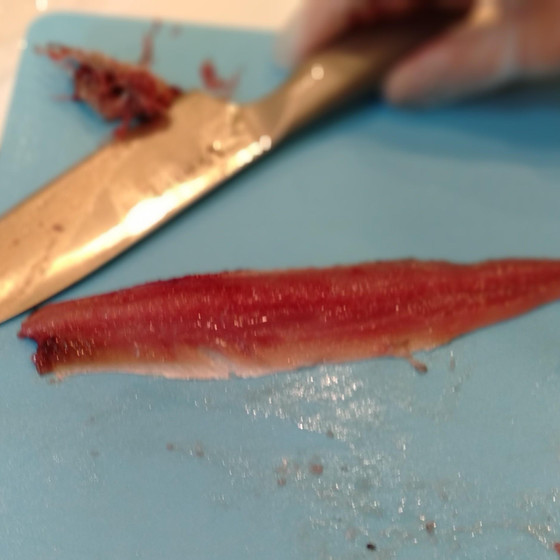 魚のさばき方と調理【サンマの大名おろし】
