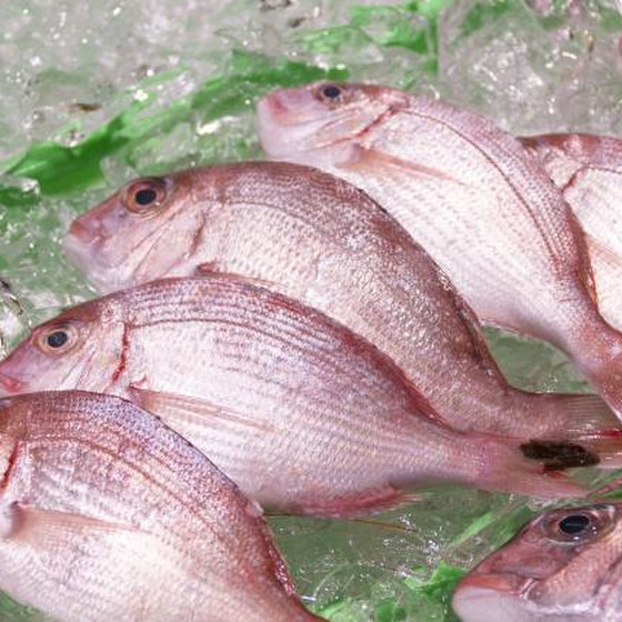 魚さばき「小鯛」