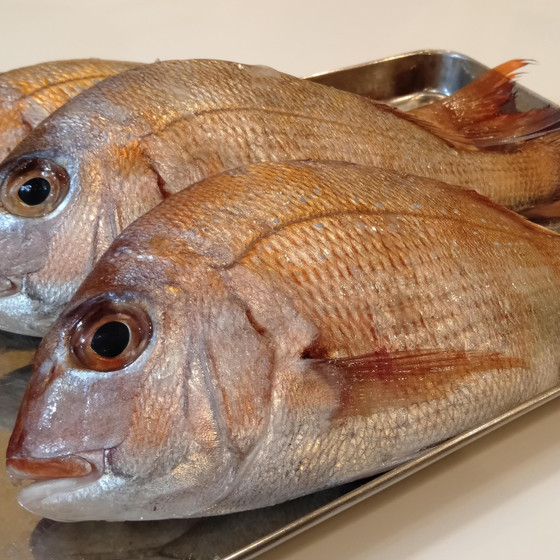 魚さばき「小鯛」