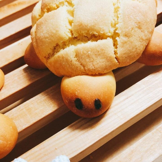 動物パンシリーズ（カメのメロンパン）