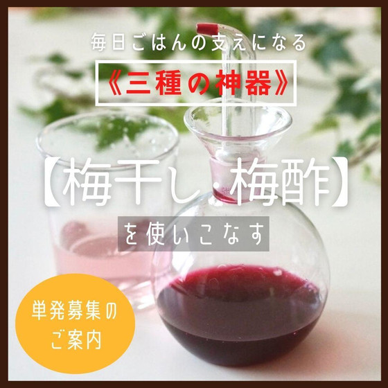 【梅干し・梅酢を使いにこなす】 単発募集のご案内