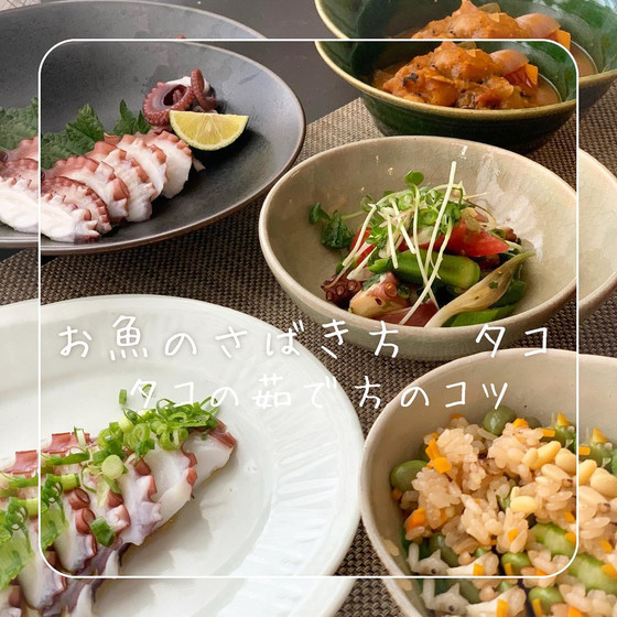 お魚のさばき方　タコ