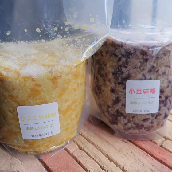 ～あずき味噌&ひよこ豆味噌作り～