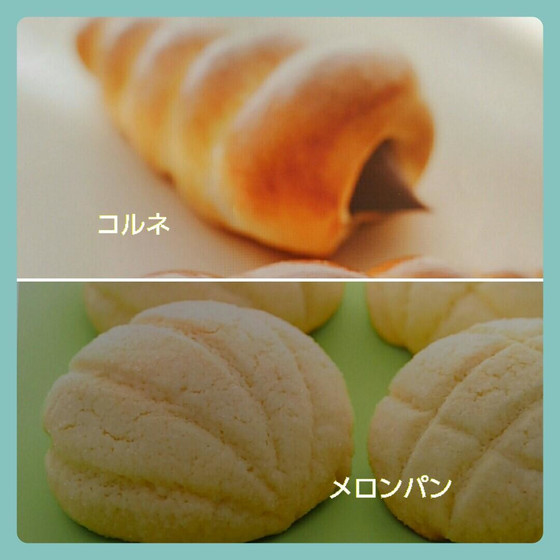 スタートアップコース～初級～