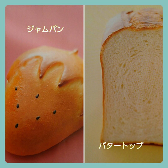 スタートアップコース～初級～