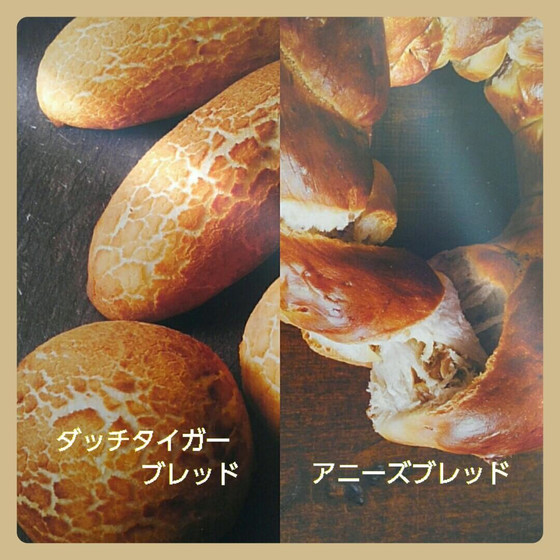 アドバンスコース～上級～