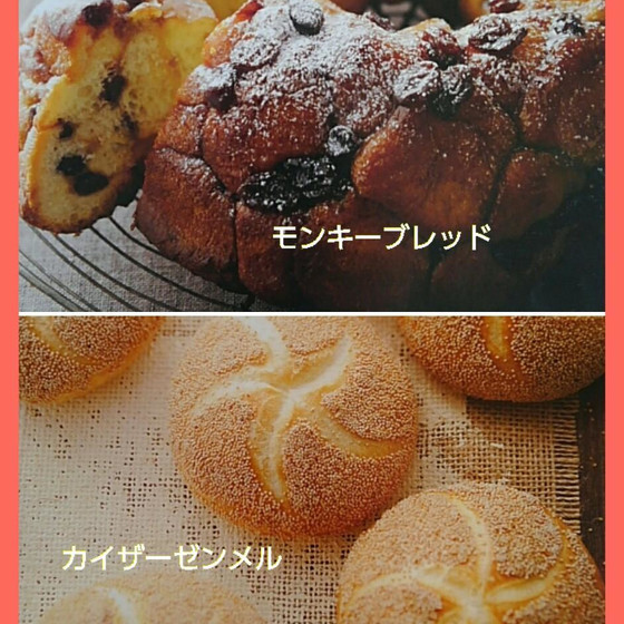 インターミディエートコース～中級～