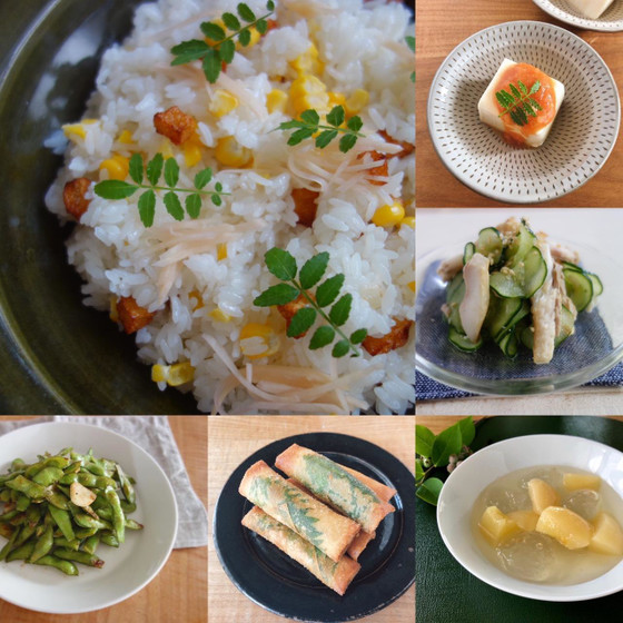 文月の和食レッスン