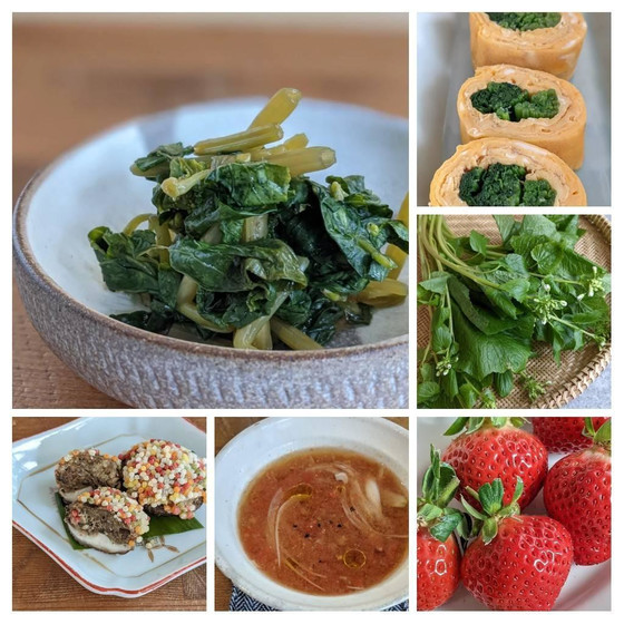 野菜のごはん果物のおやつ　4月