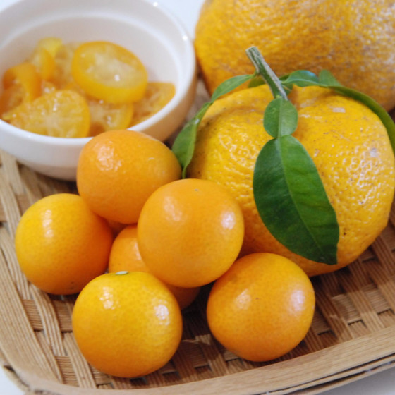 薬膳粥とお抹茶でReスタート！里芋・柑橘使いこなし術