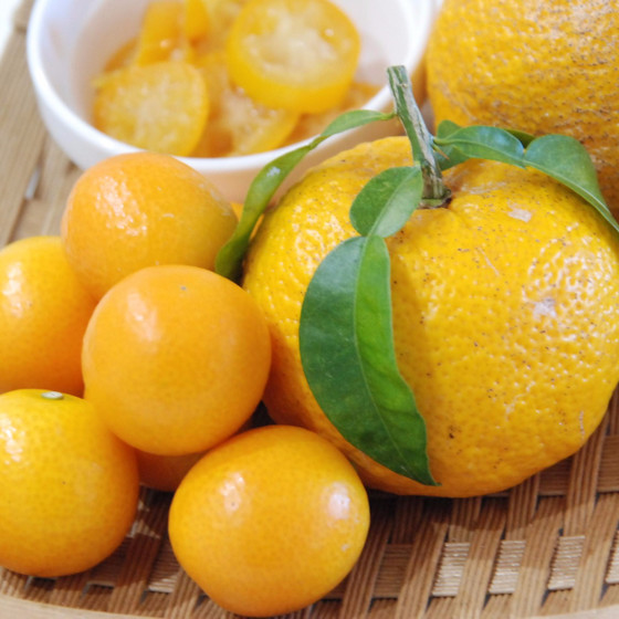 お腹に優しい薬膳粥と金柑で風邪予防！