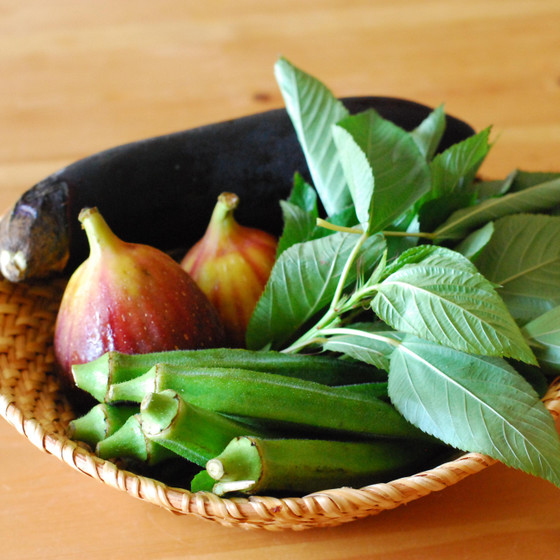 ネバネバ野菜で免疫力アップ！オクラ＆モロヘイヤ使いこなし術