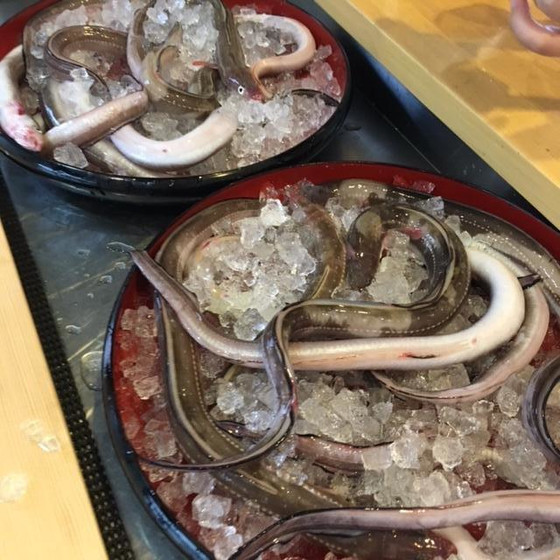 【オンラインレッスン】お魚さばきライプレッスン　穴子又は鱧　