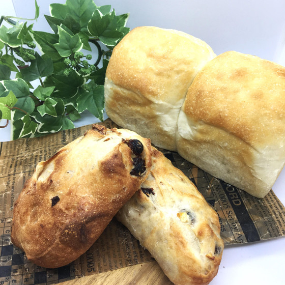 天然酵母湯種ソフトフランス生地のミニ食パン（パウンド型小1個）と丸パン２個
