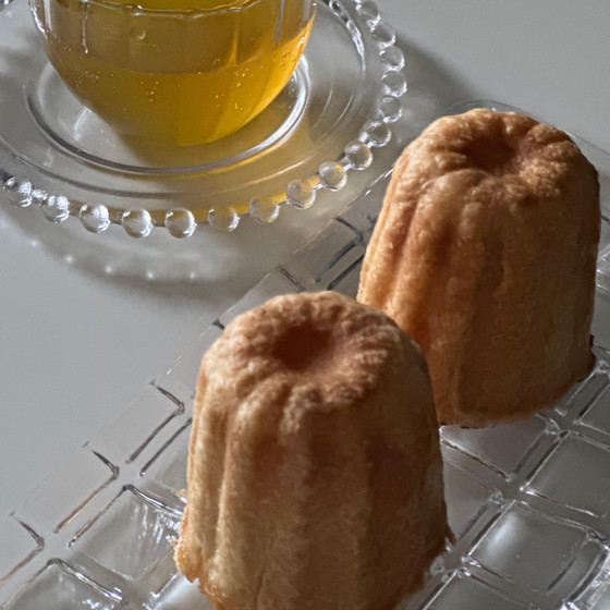ハイブリッドスイーツ、パヌレレッスン♪