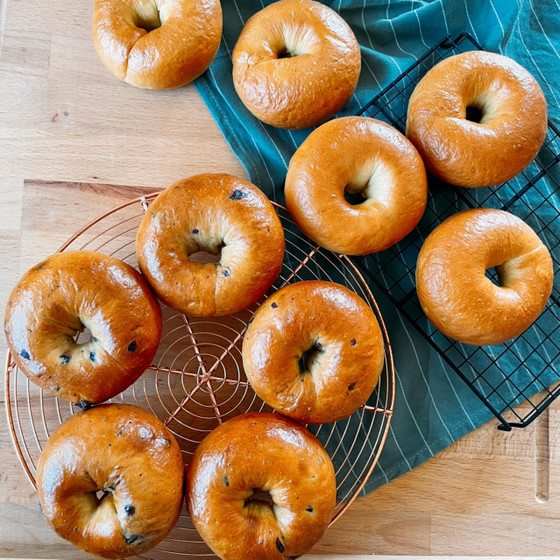 大人気BAGELレッスン♡ 【白神こだま天然酵母＆キタノカオリ１００％】手捏ねでもちもち♡ベーグル１０個作っちゃいます！！！