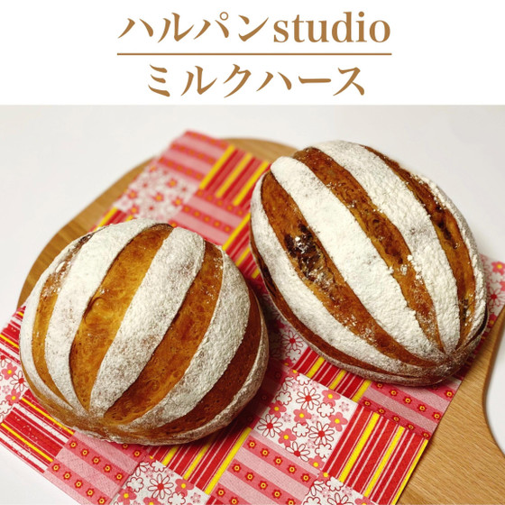 ミルクハース48分　ふんわり柔らかミルクの香り♪　プレーン味&コーヒーメープル味の2種