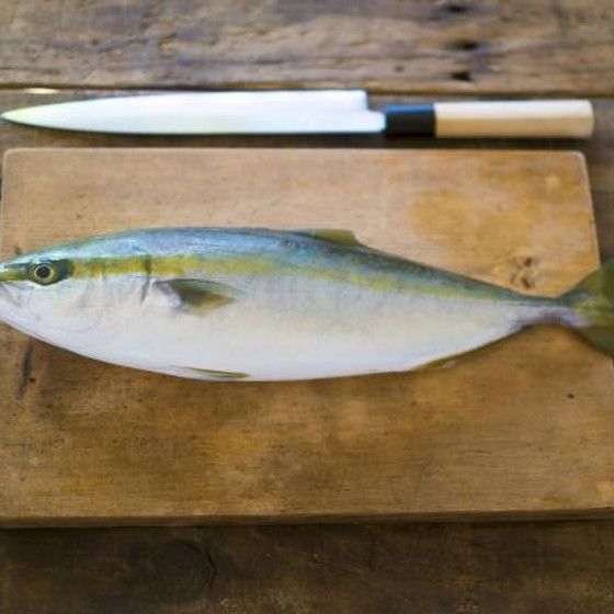 だしを知るとおいしい〜ワークショップ〈4月 お魚をさばきましょう〉
