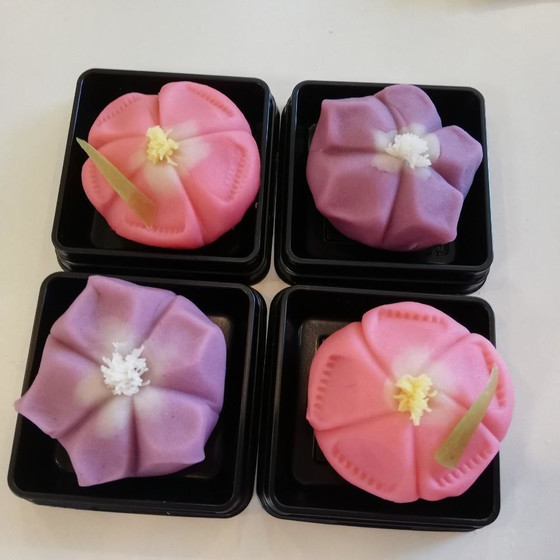 ミネラル水を使用した体に優しい上生菓子作り体験（4個）