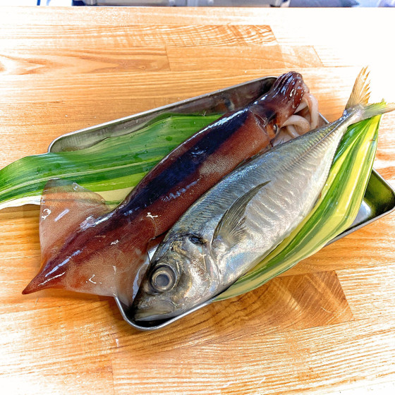 スルメイカと鯵(天候により変更あり)