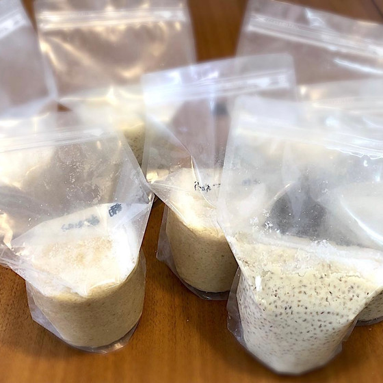仕込んだ味噌たち