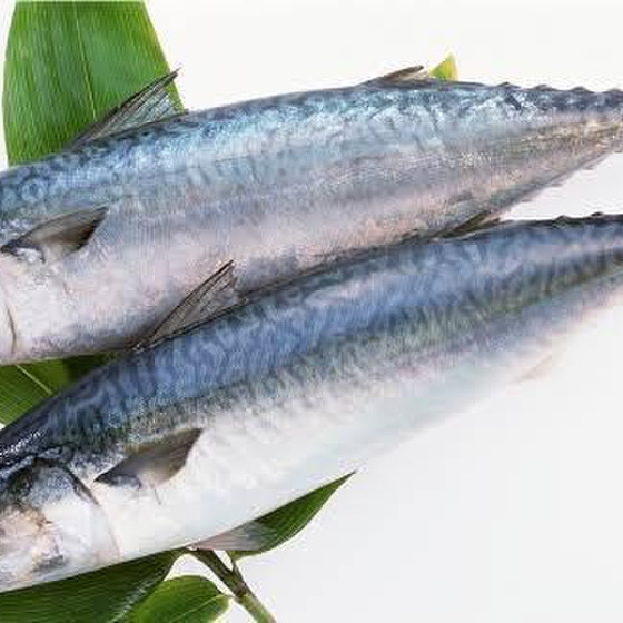 お魚をさばくレッスン☆
