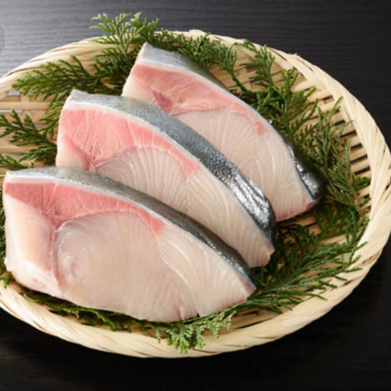 魚レッスン　ブリ
