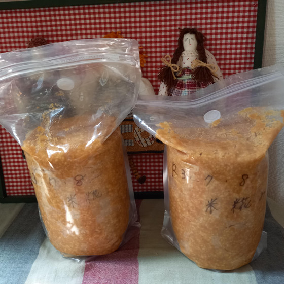 夏仕込み味噌講座
