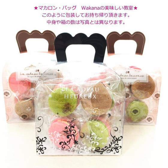 このようなケースに入れてお持ち帰り頂きます。