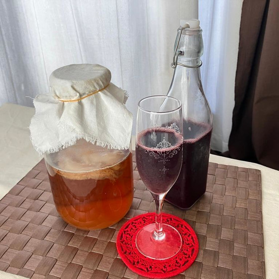 KOMBUCHA