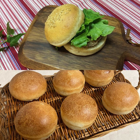 干あんず酵母：バーガーバンズ！