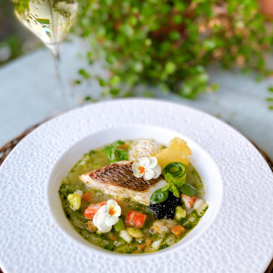 ビジター:南フランスの夏を迎える料理『ティアンのタルト』『鯛と帆立のピストゥ風』他