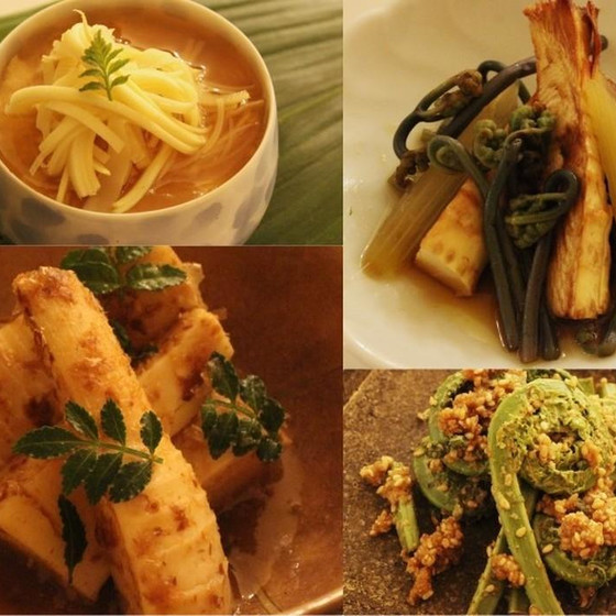 春の香りと味覚を堪能しましょう！「たけのこ料理」3品と山菜