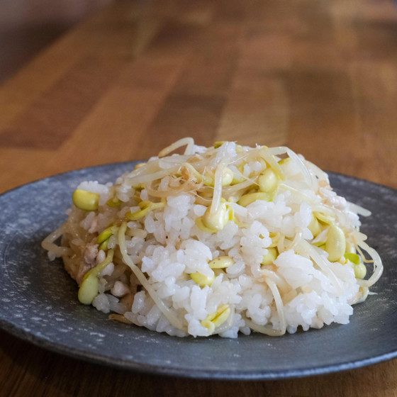 シャキシャキ豆もやしごはん