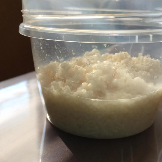 使いこなそう！自家製発酵調味料の会《基本の塩麹・醤油麹編》お土産付き☆
