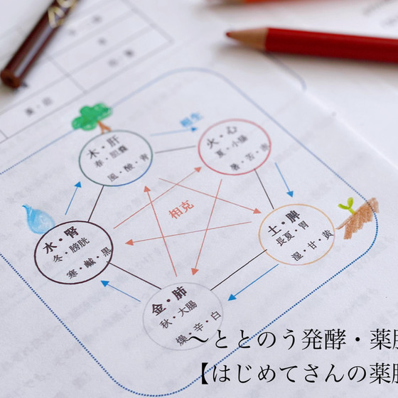 薬膳の基本を座学でしっかり学びます♪