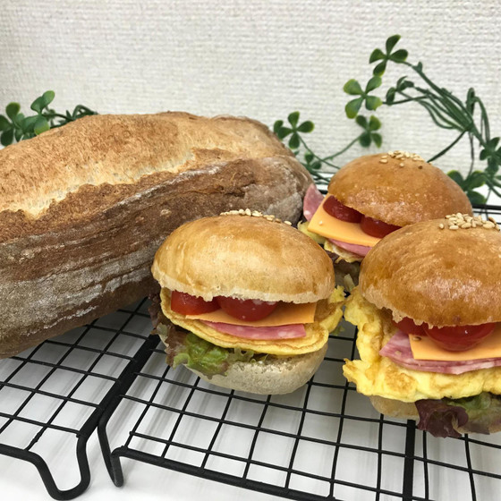 カンパーニュ＆ミニバンズ