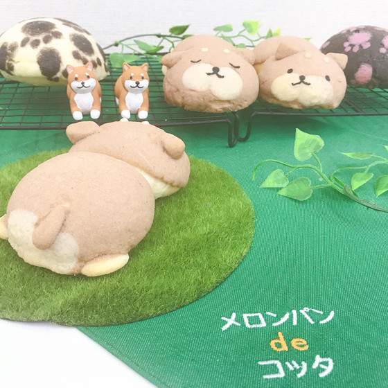 メロンパンdeコッタ〜柴犬バージョン〜
