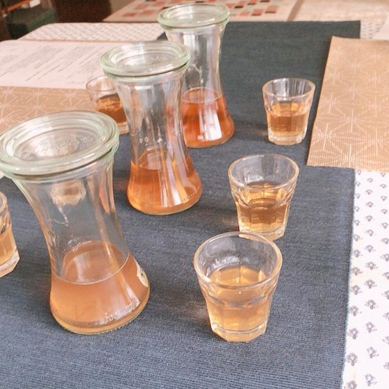 飲み比べ！&コンブチャ株分けレッスン