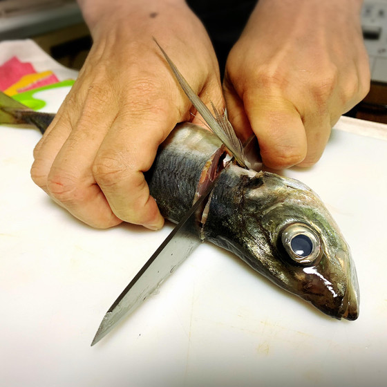 新鮮な魚をさばいて美味しく料理しましょう♡
