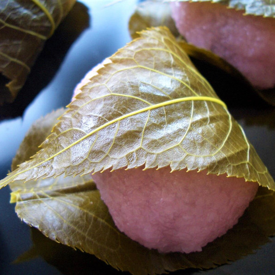 こどもお菓子教室「桜もち」
