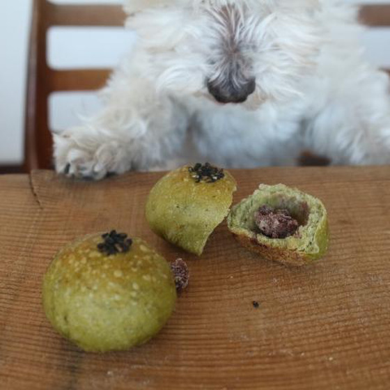 【愛犬家さんのためのパン講座】天然酵母のわんこのパン教室